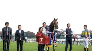 【先週のJRA抹消馬】アルゼンチン共和国杯の覇者ブレークアップ、8歳まで活躍続けた重賞馬カテドラルなど