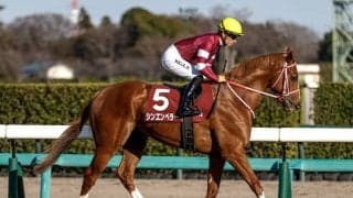 【凱旋門賞オッズ】シンエンペラーは9倍で3番人気タイ 仏のソシエが1番人気に