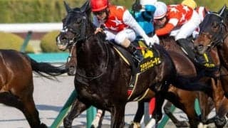 2200m戦の連対率は100％ 3年ぶりの復活重賞V狙うステラヴェローチェがオールカマー参戦