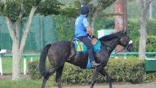フローラS勝ち馬の仔 土曜中山で初陣へ/関東馬メイクデビュー情報