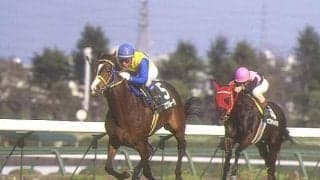 90年代の日本競馬支えた種牡馬御三家 “東京コースの鬼”トニービンとは