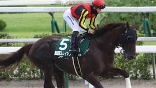 【浦和・オーバルスプリント注目馬】7頭立てでも混戦模様 JBCスプリントに向けても見逃せぬ一戦に
