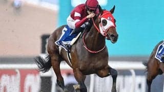海外重賞2勝馬や東京ダービー馬参戦 ジャパンダートクラシックの選定馬16頭が発表