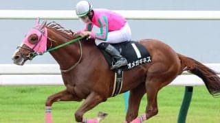 【シリウスS想定】オメガギネス、ハギノアレグリアスなど11頭