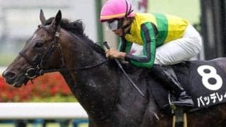 トップナイフの半弟はここまで3戦2勝 神戸新聞杯でタイトル奪取狙う