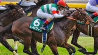 オールカマー勝率100％ ルメール騎手が連覇＆3勝目に昨年のセントライト記念覇者と挑む