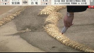 異例の“現場検証”も…長い協議で漂う緊迫感がジワリ伝染 21歳行司の表情変化に「緊張顔よ……」「こっちまでドキドキする」