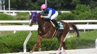 【YJS園田】JRA暫定トップは橋木太希騎手