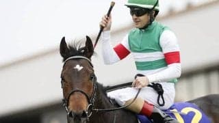 サートゥルナーリアやレイデオロに会えるチャンス！ ノーザンホースパークが「社台スタリオンステーション放牧見学会」を開催