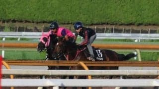 ラムジェット、JDC追い切り速報/栗東トレセンニュース