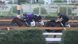 ヨーホーレイク、毎日王冠2週前追い切り速報/栗東トレセンニュース