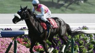 【神戸新聞杯出走馬・騎手確定】ジューンテイク＆藤岡佑介騎手、メリオーレム＆川田将雅騎手など15頭