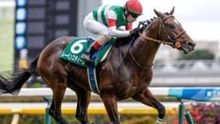 【オールカマー出走馬・騎手確定】レーベンスティール＆C.ルメール騎手、ステラヴェローチェ＆横山典弘騎手など15頭