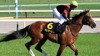 シュヴァルグラン産駒JRA重賞初制覇へ 複勝率100％の安定株が神戸新聞杯にチャレンジ