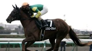 スズカコーズウェイが種牡馬引退 「ナイスネイチャ・メモリアルドネーション2024」対象1頭目の功労馬に