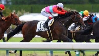 【新馬/中京4R】伏兵キタノサワヤカがデビューV…ルメール騎乗、テイエムライダーは直線でラチに接触落馬