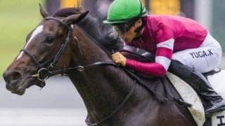 由来はJリーガーの2億1000万円馬 「名馬の登竜門」で無傷2連勝狙う