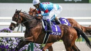 牝馬が強いGIIで 良血サリエラが狙う“今度こそ”