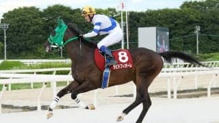 【兵庫ジュベナイルC】ラピドフィオーレの捲りが炸裂…赤岡「手応え抜群」