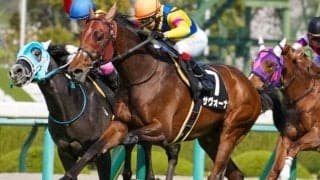 芝中長距離界の“バイプレーヤー” オールカマーで今度こそ初タイトルを