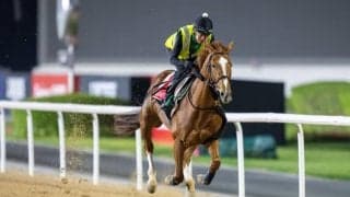 【日本テレビ盃】デルマソトガケなどJRA4頭