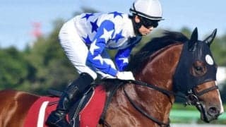 祖母の全兄はトウカイテイオー GIIで馬券圏内2回の実績馬が「帝王対決」に挑む