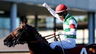 【オールカマー枠順確定】レーベンスティールは3枠4番、ステラヴェローチェは3枠5番