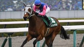 道悪でもメイショウタバルを絶対視は危険!? 末脚自慢に要注目だ