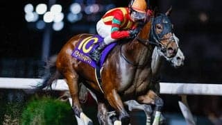 23年関東オークス覇者パライバトルマリンが抹消 今後はノーザンファームで繁殖入りへ