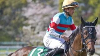 半兄ピクシーナイトはスプリントGI覇者 さらなる距離短縮で兄の背中追うジュンヴァンケット