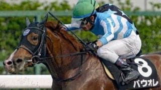 中山ダ1200mはストームキャット系を狙え 舞台巧者のパウオレが決める