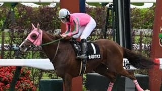 【シリウスS想定馬・騎手】オメガギネス、ヴァンヤールなど17頭