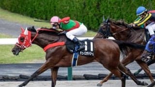 【今日の注目ポイント】少頭数の2歳戦・野路菊Sで素質馬が激突