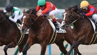 神戸新聞杯はここ３年波乱続き 今年も主役不在で穴党記者推奨の伏兵２頭に妙味あり