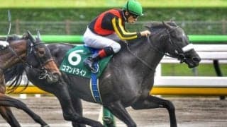 米G1勝ち馬を母に持つ1.2億円馬 武豊騎手の手綱でデビューV飾るか