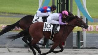 【中京4R新馬戦結果】ミッキーアイル産駒ザクシスがゴール前で差し切りV