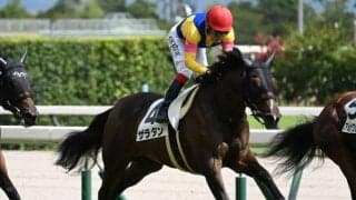 【中京5R新馬戦結果】キズナ産駒ザラタンが競り合いを制す
