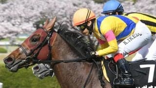 【オールカマー予想】ハイレベルなレースでの経験が武器となる!? 前走函館組はレース格や結果が重要