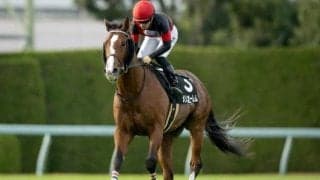 【神戸新聞杯前日オッズ】メリオーレムが4.2倍で1番人気