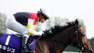 母はエ女王杯覇者のラキシス ミラージュナイトがデビューV目指す