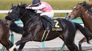 【AI予想・神戸新聞杯】上位人気馬に良績が集中する菊花賞トライアル 人工知能は唯一のGII勝ち馬で不安要素も見られない実力派に期待