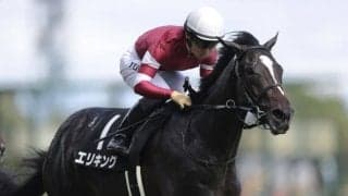 【野路菊S】断然人気の2億円ホース・エリキングがデビュー2連勝