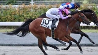 【新馬/中京4R】ミッキーアイル産駒 ザクシスがデビューV