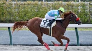 【中京3R】外国産ユウトザユウトが初勝利