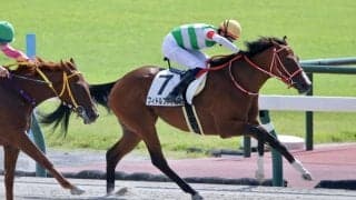 【中京1R】良血フィドルファドルが初勝利…マルシュロレーヌ半妹