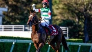 【オールカマー予想】実績馬が力を発揮できる舞台 過去10年の勝ち馬はすべて前走重賞組