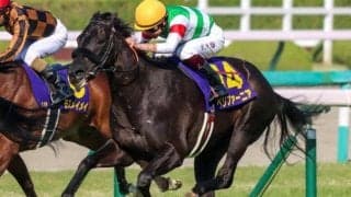 半兄はGI・3勝馬  ペリファーニアが今度こそ3勝目なるか