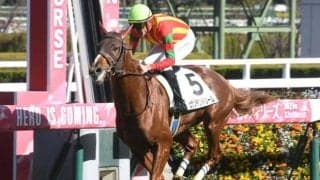 神戸新聞杯は馬場を要チェック 雨が降ればビザンチンドリームが好配を呼ぶか
