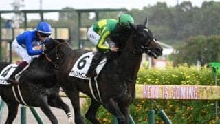 【中京5R新馬戦結果】キズナ産駒サトノシャイニングが抜け出し快勝