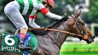 【オールカマー・馬体重】レーベンスティールは484kg(+2)、ステラヴェローチェは508kg(±0)